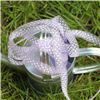 Order  Organza Swiss Dot Ribbon - Lt Orchid/White
